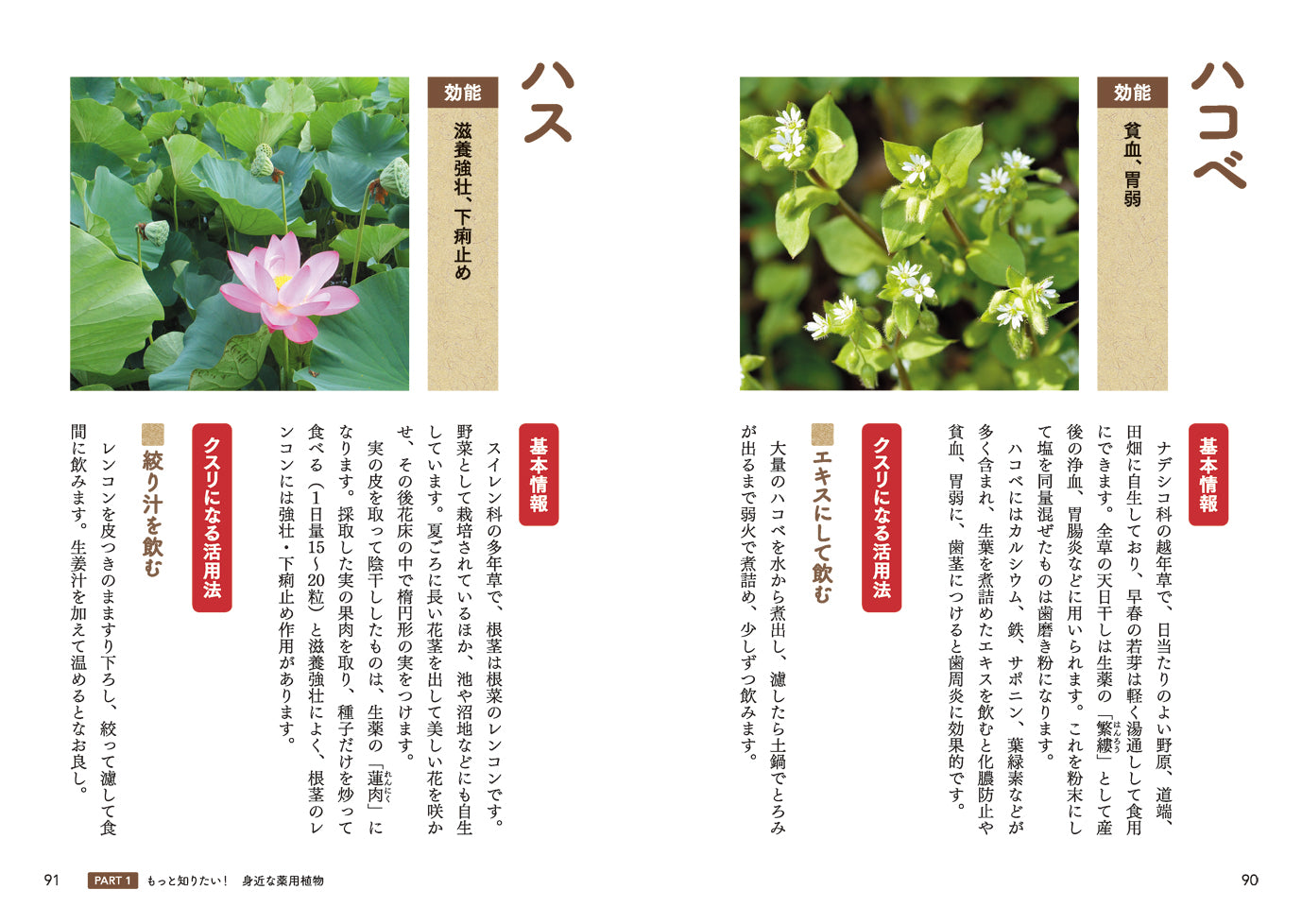 家庭でできる 身近な「薬用植物」養生 – PHP研究所 公式通販