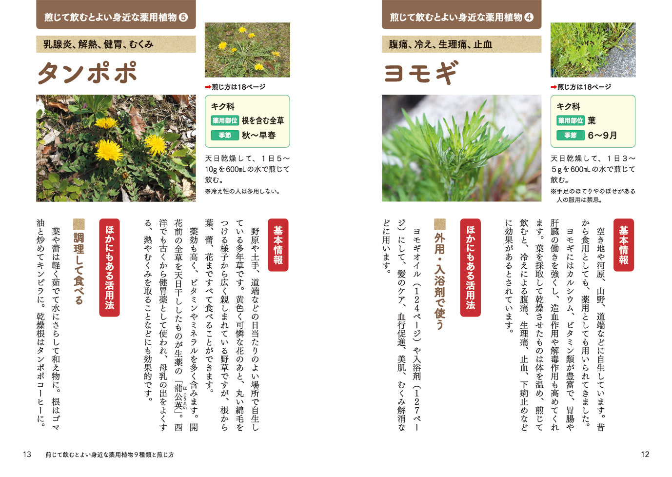 85601_n_p12-13.jpg?v=