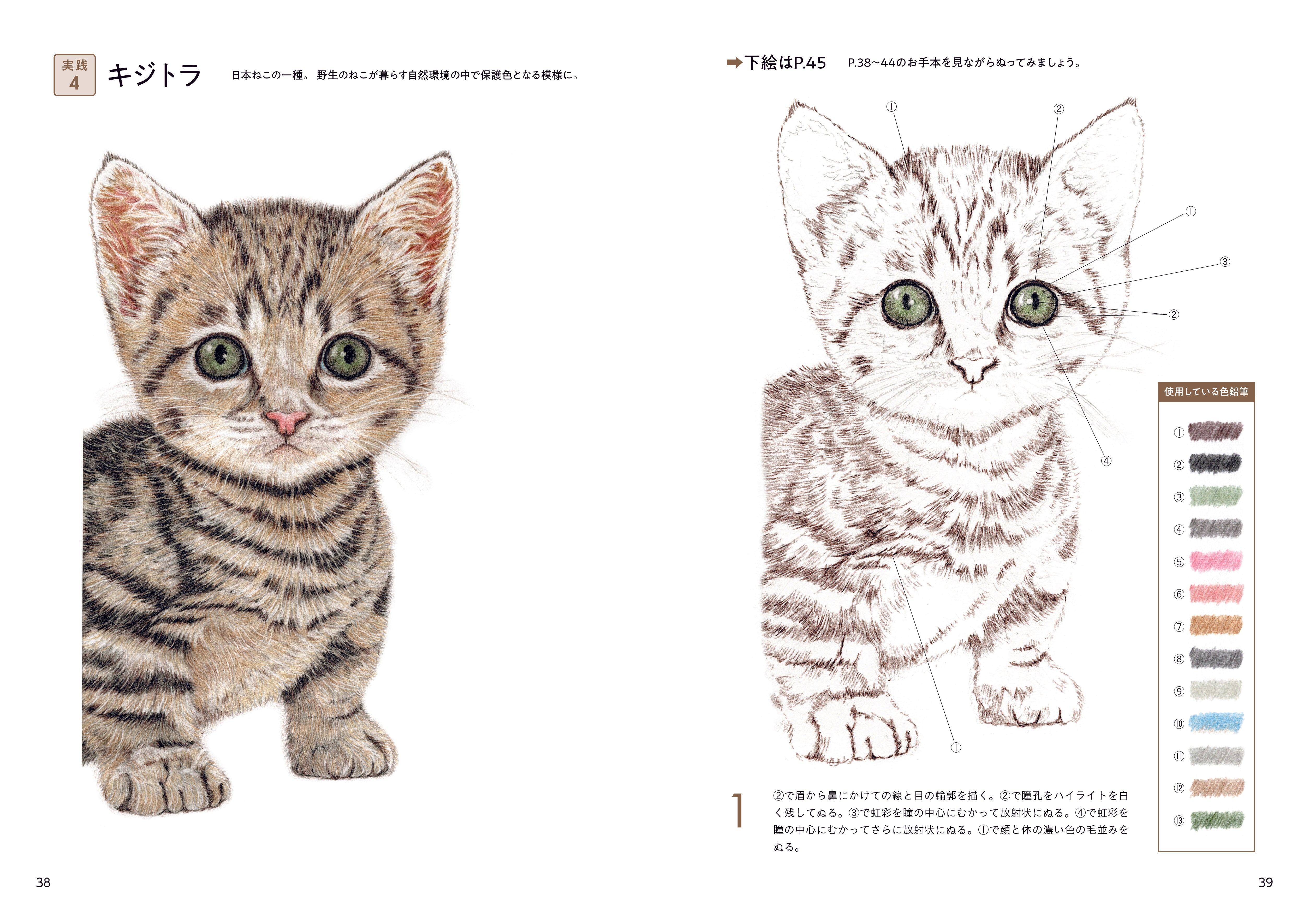本物そっくり色鉛筆の「ねこのぬり絵」 – PHP研究所 公式通販